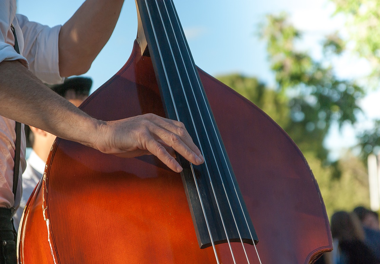 Cours De Contrebasse Ecole De Musique De Sautron